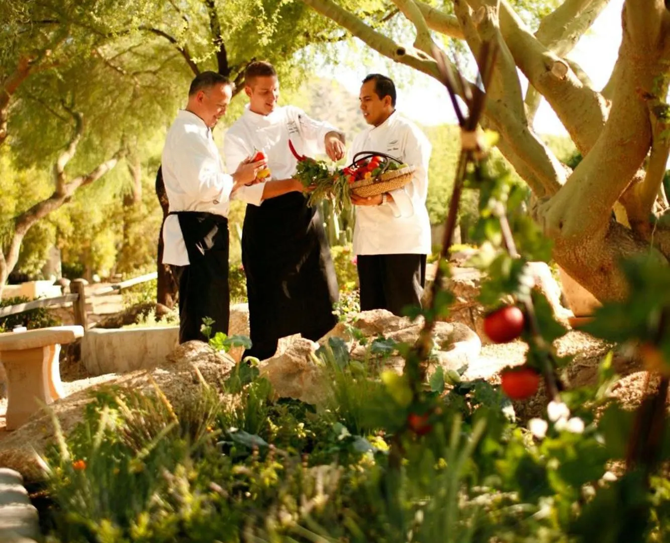 JW Marriott Scottsdale Camelback Inn Resort&Spa Paradise Valley Resort